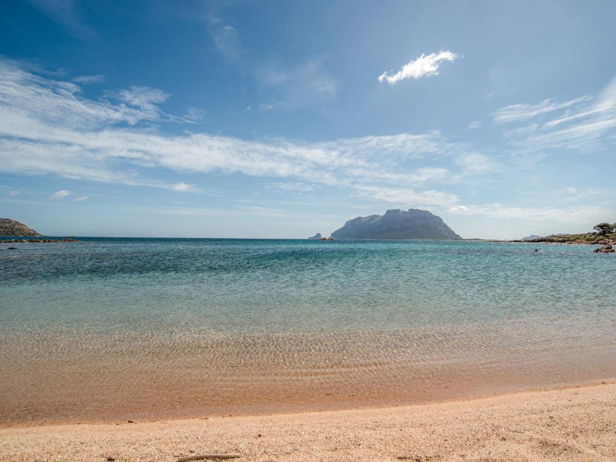 Holiday Home Flamingo By Interhome Costa Corallina Bagian luar foto